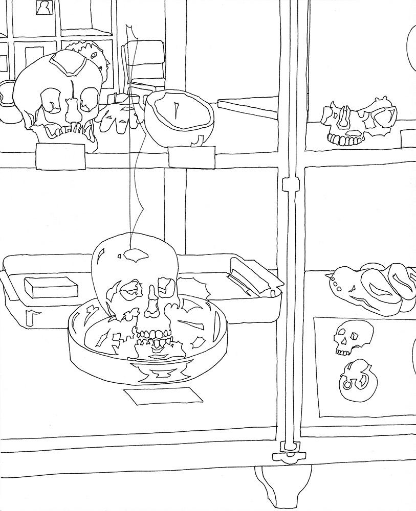 Eva Früh, Künstlerin: schaukammer, 14