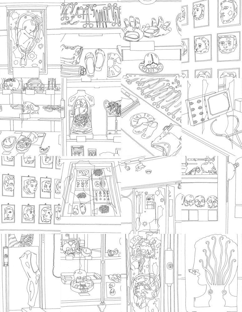 Eva Früh, Künstlerin: schaukammer, installation, auswahl aus 130 zeichnungen